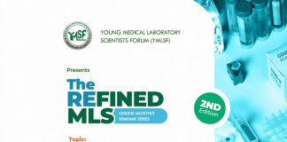 Notes from YMLSF Webinar on CV and Resume Writing