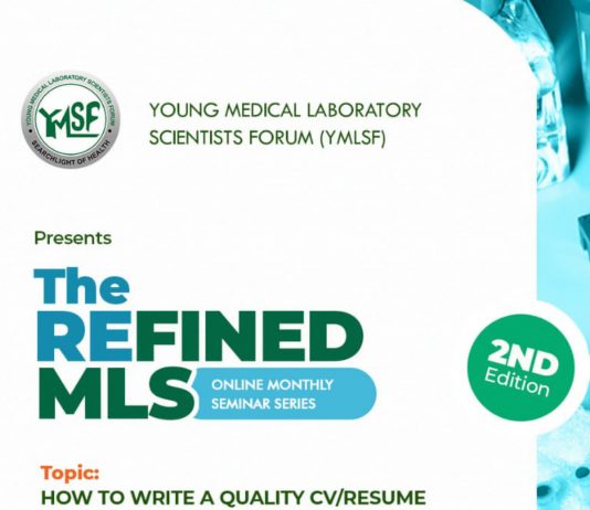 Notes from YMLSF Webinar on CV and Resume Writing